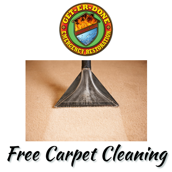 Review us today, and we'll clean your carpet for free!