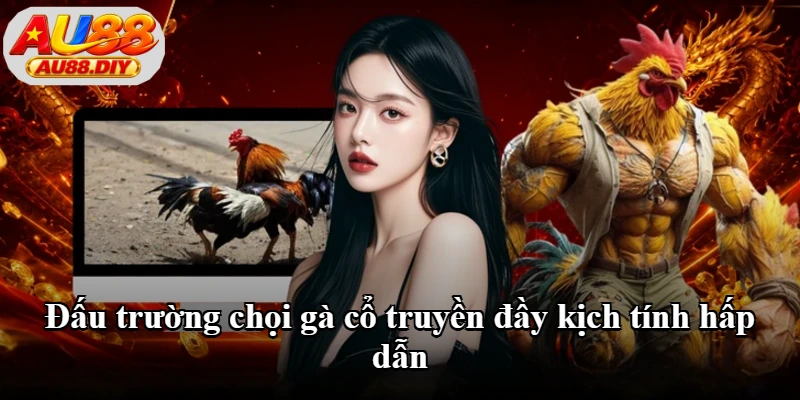 Đấu trường chọi gà cổ truyền đầy kịch tính hấp dẫn