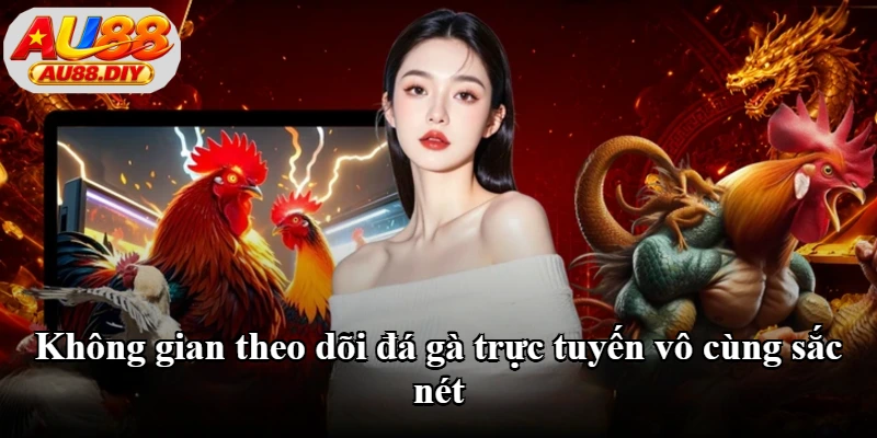 Không gian theo dõi đá gà trực tuyến vô cùng sắc nét