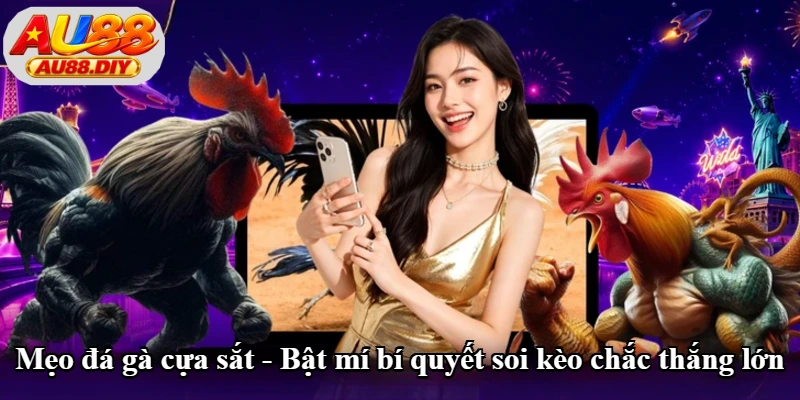 Mẹo Đá Gà Cựa Sắt - Bật Mí Bí Quyết Soi Kèo Chắc Thắng Lớn