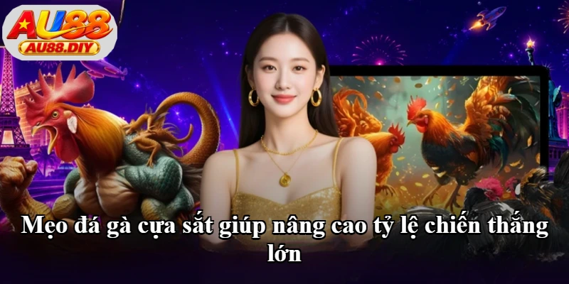 Mẹo đá gà cựa sắt giúp nâng cao tỷ lệ chiến thắng lớn
