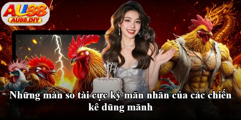 Những màn so tài cực kỳ mãn nhãn của các chiến kê dũng mãnh