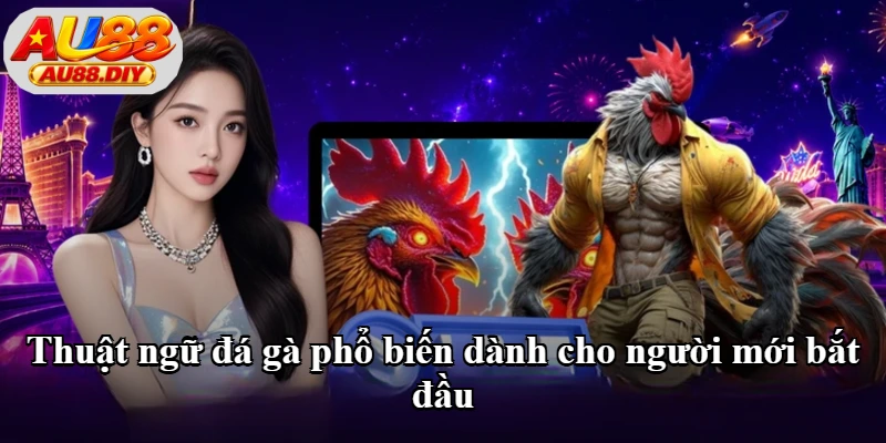 Thuật ngữ đá gà phổ biến dành cho người mới bắt đầu